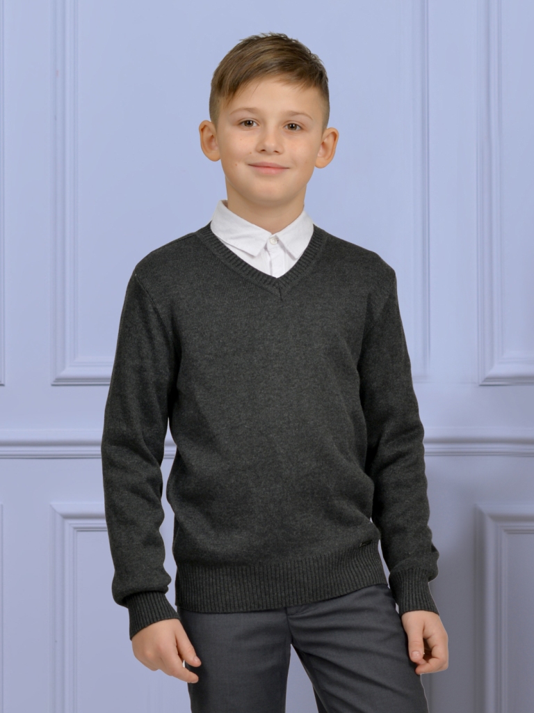 "SC"/тм Джемпер д/м тр 115-22